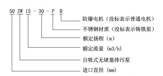 ZW型自吸式无堵塞黄色软件草莓视频型号意义