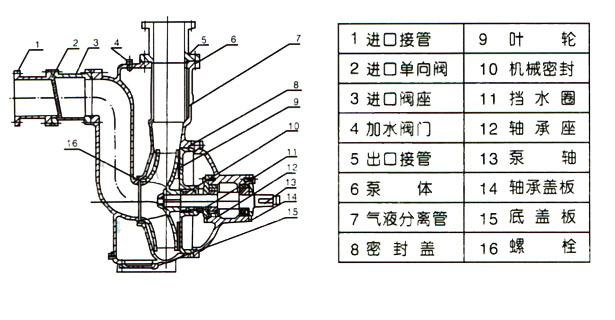 ZWP型不锈钢自吸式无堵塞黄色软件草莓视频（结构图）