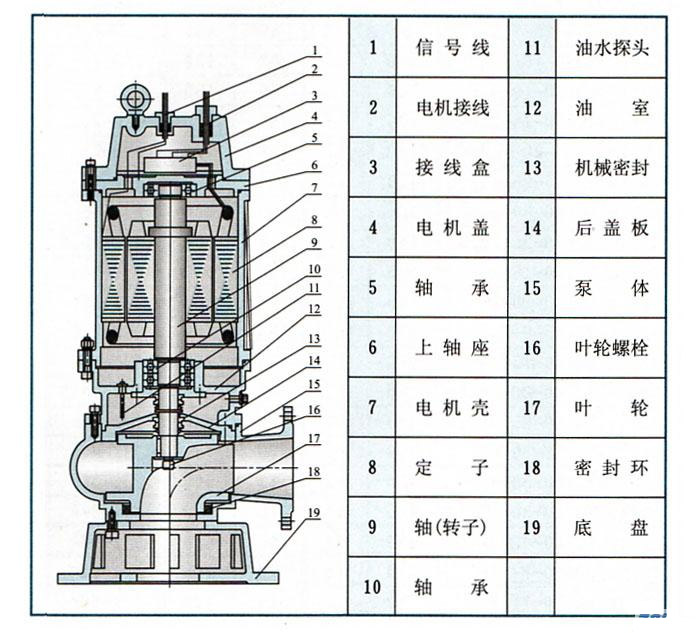 WQ潜水式无堵塞黄色软件草莓视频(结构图)